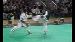 ITF Taekwondo Demonstrations [upl. by Katharyn]