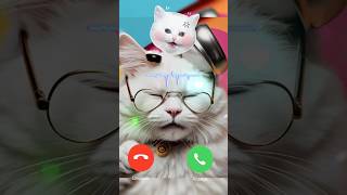 CUTE BABY CAT CALLING ME 🔥🎶💔🥰 CAT CALLING EFFECTshorts shortfeed call [upl. by Budd]