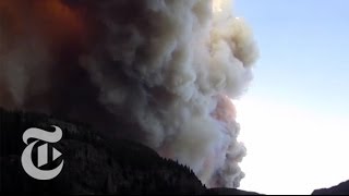 The Science Behind Forest Fires  How It Happens  The New York Times [upl. by Sivle590]