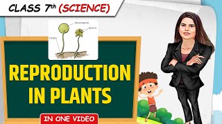 Reproduction in Plants  Full Chapter in 1 Video  Class 7th Science  Junoon Batch [upl. by Nide]