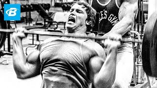 Arnold Schwarzenegger Motivation  Blueprint Training Program [upl. by Nappy]