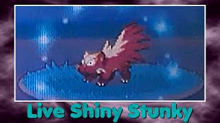 Phase 2Live Shiny Stunky  Moufouette after 7418 RE [upl. by Akkim]