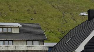 Helicopter Rescue in Norđragøta Faroe Islands [upl. by Bronwyn]