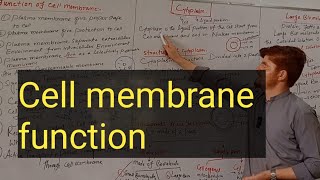 Function of cell membranepashto lectures class 11 biology [upl. by Ltihcox]