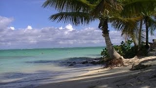 Some Caribbean Beaches  West Indies [upl. by Nuahs715]