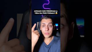 ANIMAIS QUE PERDERAM A VIDA DA PI0R FORMA 😨 curiosidades edusouzzav [upl. by Orsini]