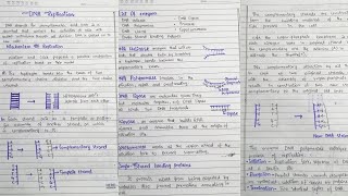 Replication of DNA DNA Structure Enzymes involved in DNA replication in hindi [upl. by Thayer113]