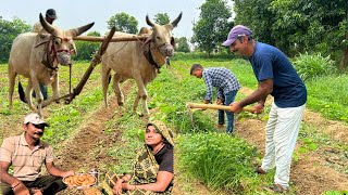 Gujarati village lifestyle  gujarati village vlogs gujarati vlogs [upl. by Yalc]