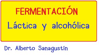 Fermentación Láctica y Alcohólica [upl. by Olrak]