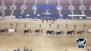 Youth Supreme Champion Beef Pageant [upl. by Iverson]