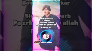 Da zrha pur sar sar ma wahli full song Pa zrha ma yaw allah khabar Basharmal Kakar Tiktok trending [upl. by Eelsha33]