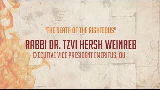 Tisha Bav 2022 The Death of The Righteous  Rabbi Dr Tzvi Hersh Weinreb [upl. by Nitaf16]