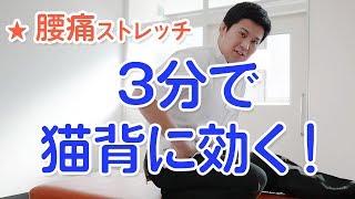 【腰痛ストレッチ】3分で腰の痛みと猫背を予防！カンタンストレッチ － 長崎の藤本整骨院 － [upl. by Coben889]