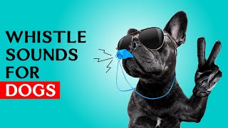 Whistle sounds for Dogs  Dog Whistle Sound to Call Your Dog [upl. by Neraj35]