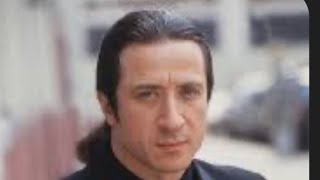 Character Profile Furio Giunta The Sopranos [upl. by Anniroc922]