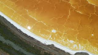 Salt ponds in Newark California [upl. by Laural684]