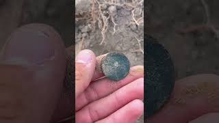 Metal detecting a 300 year old Slave Plantation [upl. by Rehportsirhc480]