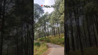 Tansen Palpa Nepal😍🇳🇵 nepal palpa travel explore visitnepal youtubeshorts nature hindisong [upl. by Neirual]