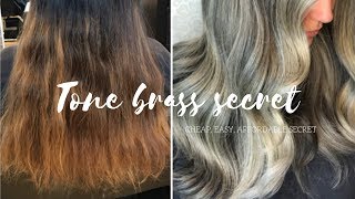 How To Tone Hair CHEAP EASY SECRET [upl. by Tanny580]