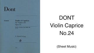 DONT 24 Violin Caprice No24 [upl. by Arehs18]