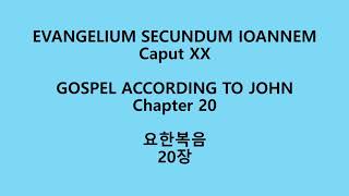 요한복음 20장 라틴어 성경Evangelium secundum Ioannem XX Nova VulgataJohn 20 Neo Vulgate Latin Bible [upl. by Antonetta]