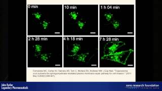 Inducing exocytosis to remove lipofuscin  John Furber [upl. by Winzler]