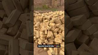 claybricks bricks bhatta brickkiln zigzagbhatta goldbricks buildingmaterials construction [upl. by Annaiuq]