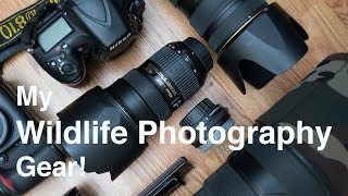 Whats in my Wildlife Photography Camera bag [upl. by Adeys]