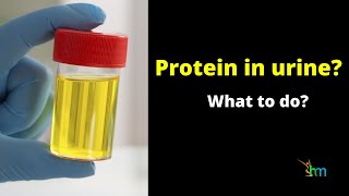 Detection of Albumin in Urine  MeitY OLabs [upl. by Thurmond73]