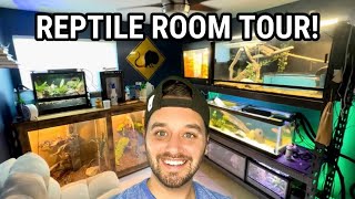 REPTILE ROOM TOUR  September 2023 [upl. by Sulokcin615]