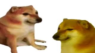 doge bonk meme [upl. by Pernick]