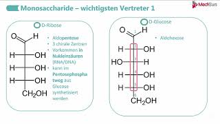 Monosaccharide [upl. by Ahsaret]
