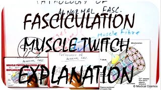 Muscle Twitch  Fasciculation Pathophysiology EXPLAINED [upl. by Gauthier]