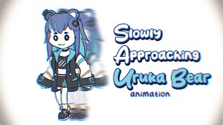 Slowly approaching Uruka Bear  Phase Connect animation [upl. by Atikaj]