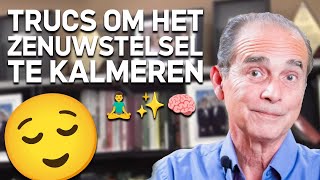 1043 Trucs om het zenuwstelsel te kalmeren [upl. by Eberta886]