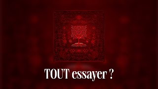 Dadju amp Tayc  TOUT essayer  Lyrics video [upl. by Diley]