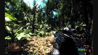 Crysis True Power Of The Radeon 5870 [upl. by Avner]