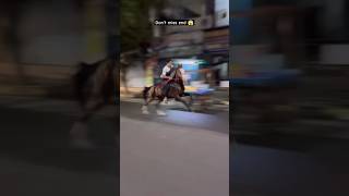 Kohinoor horse riding video 🐎 horseriding horsevideo shortsfeed browsefeatures trendingshorts [upl. by Allsopp758]