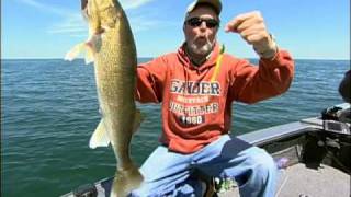 About Walleyes amp Spinner Rigs [upl. by Ilrac]