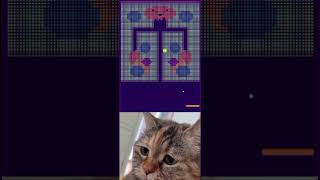 CHIPI CHIPI CHAPA CHAPA cat meme with brickmania gamecute cat catmeme [upl. by Neitsabes]