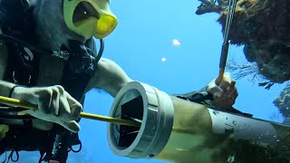 Lionfish hunting in Cayman Brac This dive was gorgeous❤️ [upl. by Nabe]