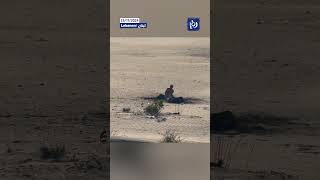 ‘Israeli’ drone strikes civilians on the beach near Tyre trending shorts explore [upl. by Yekram]