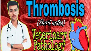 5 Thrombosis  Definition Causes amp variety of thrombi short notes  Vet Study  by Aniket tyagi [upl. by Guyon]