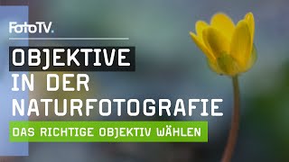 NaturfotografieTipps  Das RICHTIGE Objektiv für atemberaubende Naturfotos 🌺  FotoTVde [upl. by Zeugirdor]