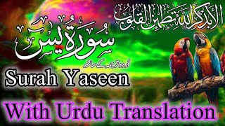 Surah Yasin Yaseen with Urdu Translation  Hindi Tarjumaसूरह यासीन उर्दू अनुवाद के साथ EP029 [upl. by Aratahc]