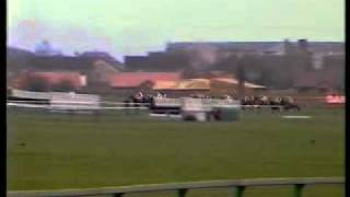 Horse Racing 1984 Supreme Novices Hurdle Cheltenham Brownes Gazette [upl. by Airtina]