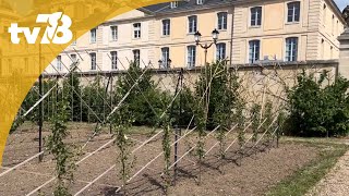 « Jardins ouverts » redécouvrez le Potager du Roi de Versailles [upl. by Rhoda]