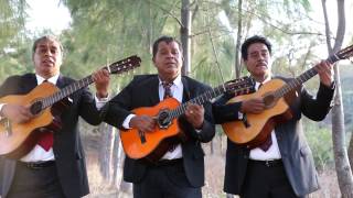 Trio Hermanos Torres  Mis Gavillas Video Oficial [upl. by Bushweller]