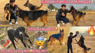 Simba Ki Family Ko Dekhne Gye🐶Simba Ka Bda Bhai😍Etna Gaint Dog😯Rasta Mai Ghumta Mila🐶Kiska Hai [upl. by Htnicayh]