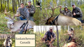 Dos Cacerías en Canadá de Venado y Elk para Grandes Trofeos del 21 de Febrero [upl. by Nairde906]